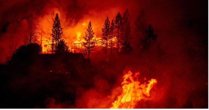You are currently viewing Your Home Can Survive a Wildfire, Prepare Now